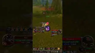 War Knight of Xoroth против Demolition Tinker #ascensionwow #conquestofazeroth #wowprivateserver