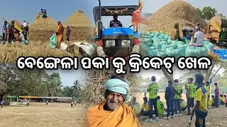 Paddy Thresher || Thresher Machine || Cricket Vlog || Odia Vlog || Village || Ekaant With AYASHKANT 
