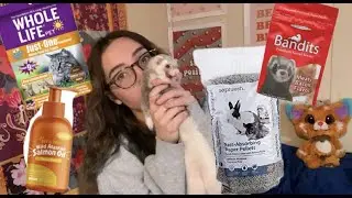5 BAD Ferret Products + 5 GOOD Replacements