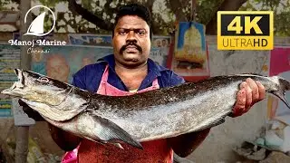 Amazing Cutting Skills | Fish Cutting Skills| #KasimeduSelvam #kasimedu #FISHCUTTING #SKILL