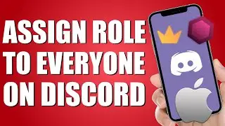 Как назначить роль каждому пользователю Discord (простые шаги)