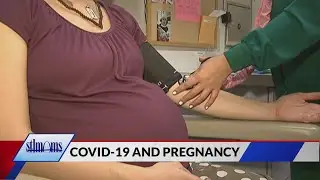 STL Moms: COVID-19 and Pregnancy