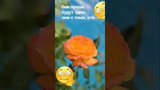 Кто ищет в них выгоду / 7496  Гороскоп Астрология Знаки Зодиака Знак Эзотерика