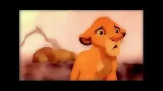 still • disney