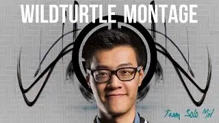 Best of Wildturtle: TSM ADC