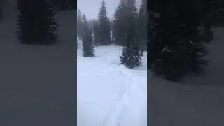 At least I tried #fun #skills #snow #snowmobile  #twostroke #winter #wheelie #fail #polaris