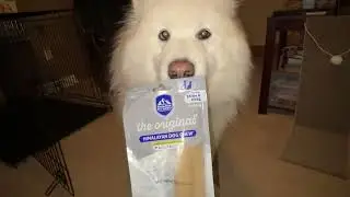 Honest review - Dog's first Himalayan dog chew!