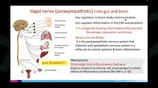 The Gut-Brain Axis and Psychosis