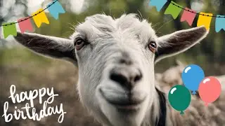 🐐🎉 Goat Happy Birthday Song