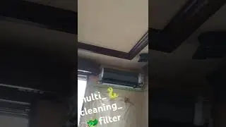 satratoxin H (サトラトキシン H @とりこてせんまいこときしん) stachybotrys(スタキボトリス) 🧽chartarum(ちゃぁた〽ぁむ) cleaning