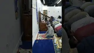 Taraweeh Night 26