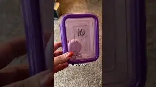 Not sure this kid will ever be ready to babysit&hellip;. #tamagotchi #virtual #pet #grounded