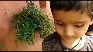avikan love #babykid#cutebabykid#
