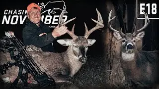 Deer Hunting The December Rut in Tennessee, Abbey's First Iowa Buck #hunting #deerhunting