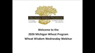 MWP - Wheat Wisdom Wednesday Jan 21 2026