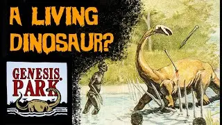 A Living Dinosaur? Interview with Genesis Park on MOKELE-MBEMBE Field Research