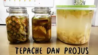 TEPACHE & PROJUS MINUMAN PROBIOTIK | By Romo Andre Delimarta Sdb.