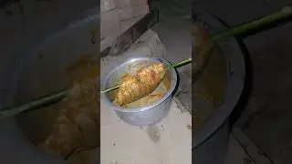 Old fish food#youtubeshorts #ytshorts #trending #shortvideo #ytshorts #viralvideo