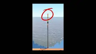 Wild Fishing Secrets: Spot Water Depth & Find Hidden Fish Hotspots Fast!