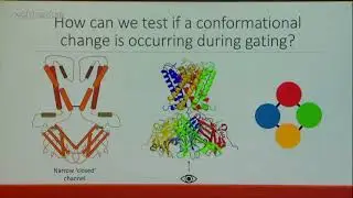 Black K (2017): Structure-function studies of K+ channel gating
