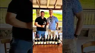 The Most Underrated (and Affordable) Collectible Wine! 🍷 (2025)