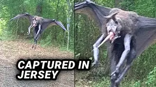 Recent VIRAL Trail Cam Footage That Will Creep Everyone Out