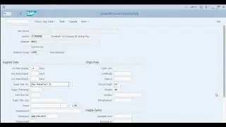 6 Create a Purchasing Information (SAP)