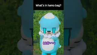 What's in hamo bag? #what_in_my_bag #shorts #humor #comedy