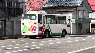 2024年4月19日　東頸バス　エアロミディMJ 1011