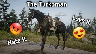 The Turkoman! Love it OR Hate it?|RDR2 Online