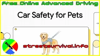 Essential Pet Car Safety: Why Restraints Save Lives and Prevent Crashes