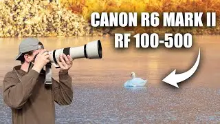 Morning Bird Photography At The Lake (Video Highlights)
