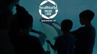 Inside Look | SeaWorld San Diego