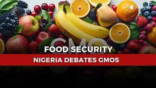 Nigeria&rsquo;s Food Crisis: Can Genetically Modified Organic Foods Be the Solution?