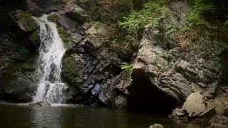 Wellbeing Exercise Video - Visionary Meditation - Male Voice