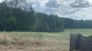 HRCH Scratch Winters Itch 2021 HRC Grand. 2nd series land. Lines the Blind!