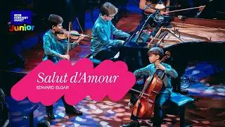 Salut d'Amour med Trio Tiemroth //Sigurd & DR Symfoniorkesteret - (LIVE)