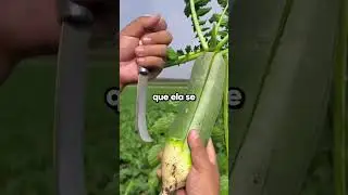 Minha sobrinha de quatorze anos virou uma psicopata da noite para o dia.