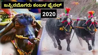 Jappinamogaru kambala final race video 2020 | ಜಪ್ಪಿನಮೊಗರು ಕಂಬಳ ಫೈನಲ್ ರೇಸ್ 2020