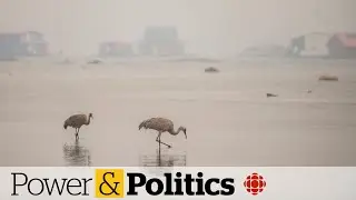 Ottawa needs to 'step up,' says N.W.T. premier as wildfires rage