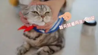 泪痕鬼小可乐擦脸脸记｜新品Eye Envy猫咪泪痕湿巾泪痕粉开箱试用【百万和他的小弟们】
