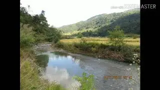 July 3 - Ashang kapai
