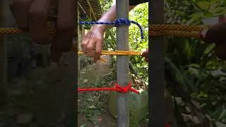 Popular Knot &ndash;Easy, Quick and Reliable!!