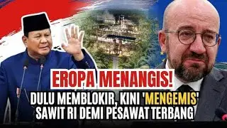 EROPA MENANGIS! Dulu Memblokir, Kini 'Mengemis' Sawit RI Demi Pesawat Terbang