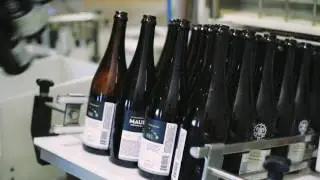 Liquid Breadfruit Imperial Golden Ale