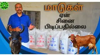 Sriram Feeds | Natural and Chemical Free Feed | Mash Feed | Molasses and Urea Free | Goushala Feed |