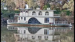 Murray River Cruise - Paddle Steamer