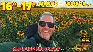 Cammino Francese per Santiago de Compostela-Giorno 16° 17°