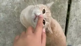 Her name is ashgoomunufuhguh.