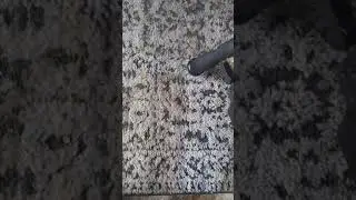 tornador black cleaning gun